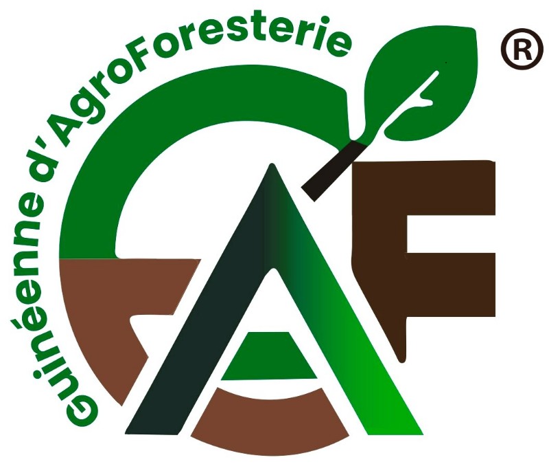 Les bienfaits de l'agroforesterie